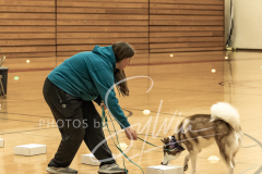 2024-AADTC-Scent-Trial-3-16-3-17-214