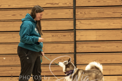 2024-AADTC-Scent-Trial-3-16-3-17-223