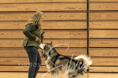 2024-AADTC-Scent-Trial-3-16-3-17-237