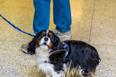 2024-AADTC-Scent-Trial-3-16-3-17-245