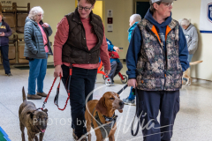 2024-AADTC-Scent-Trial-3-16-3-17-253