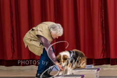 2024-AADTC-Scent-Trial-3-16-3-17-270