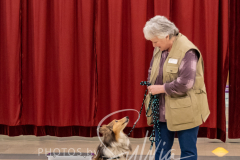 2024-AADTC-Scent-Trial-3-16-3-17-274