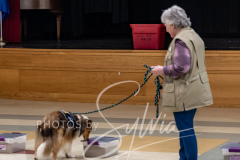 2024-AADTC-Scent-Trial-3-16-3-17-281