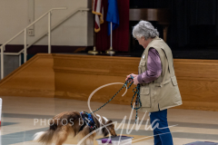 2024-AADTC-Scent-Trial-3-16-3-17-284