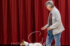 2024-AADTC-Scent-Trial-3-16-3-17-290