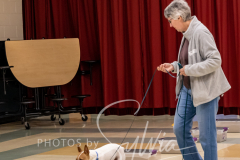 2024-AADTC-Scent-Trial-3-16-3-17-293