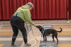 2024-AADTC-Scent-Trial-3-16-3-17-312