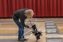 2024-AADTC-Scent-Trial-3-16-3-17-338