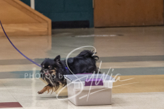 2024-AADTC-Scent-Trial-3-16-3-17-349