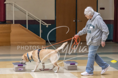 2024-AADTC-Scent-Trial-3-16-3-17-355