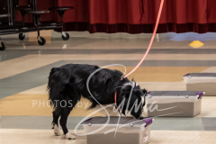 2024-AADTC-Scent-Trial-3-16-3-17-369