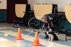 2024-AADTC-Scent-Trial-3-16-3-17-373