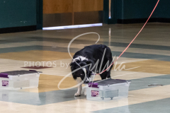 2024-AADTC-Scent-Trial-3-16-3-17-378