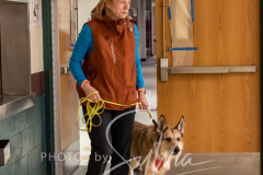 2024-AADTC-Scent-Trial-3-16-3-17-381