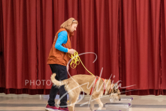 2024-AADTC-Scent-Trial-3-16-3-17-385