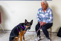 2024-AADTC-Scent-Trial-3-16-3-17-419