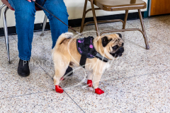 2024-AADTC-Scent-Trial-3-16-3-17-420