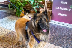 2024-AADTC-Scent-Trial-3-16-3-17-423