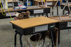 2024-AADTC-Scent-Trial-3-16-3-17-429