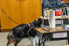 2024-AADTC-Scent-Trial-3-16-3-17-438