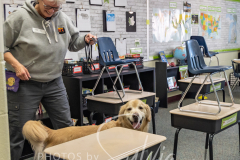 2024-AADTC-Scent-Trial-3-16-3-17-488