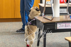 2024-AADTC-Scent-Trial-3-16-3-17-517