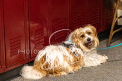 2024-AADTC-Scent-Trial-3-16-3-17-533