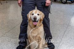 2024-AADTC-Scent-Trial-3-16-3-17-637