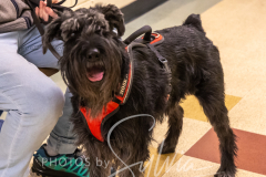 2024-AADTC-Scent-Trial-3-16-3-17-645