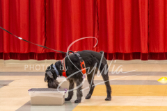 2024-AADTC-Scent-Trial-3-16-3-17-661