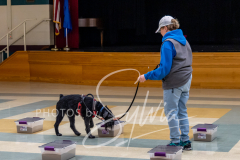 2024-AADTC-Scent-Trial-3-16-3-17-670