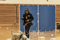 2024-AADTC-Scent-Trial-3-16-3-17-68