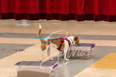 2024-AADTC-Scent-Trial-3-16-3-17-712