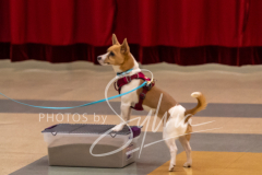 2024-AADTC-Scent-Trial-3-16-3-17-713