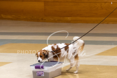 2024-AADTC-Scent-Trial-3-16-3-17-728