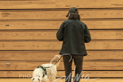 2024-AADTC-Scent-Trial-3-16-3-17-75