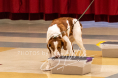 2024-AADTC-Scent-Trial-3-16-3-17-759