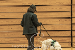 2024-AADTC-Scent-Trial-3-16-3-17-76