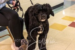 2024-AADTC-Scent-Trial-3-16-3-17-764