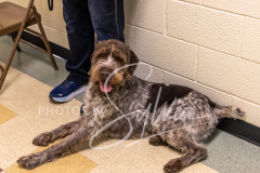 2024-AADTC-Scent-Trial-3-16-3-17-765