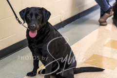 2024-AADTC-Scent-Trial-3-16-3-17-767