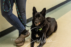 2024-AADTC-Scent-Trial-3-16-3-17-768