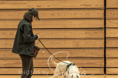 2024-AADTC-Scent-Trial-3-16-3-17-77