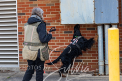 2024-AADTC-Scent-Trial-3-16-3-17-772