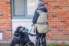 2024-AADTC-Scent-Trial-3-16-3-17-779