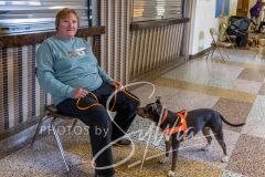 2024-AADTC-Scent-Trial-3-16-3-17-793