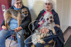 2024-AADTC-Scent-Trial-3-16-3-17-799