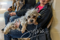 2024-AADTC-Scent-Trial-3-16-3-17-801