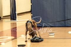 2024-AADTC-Scent-Trial-3-16-3-17-806